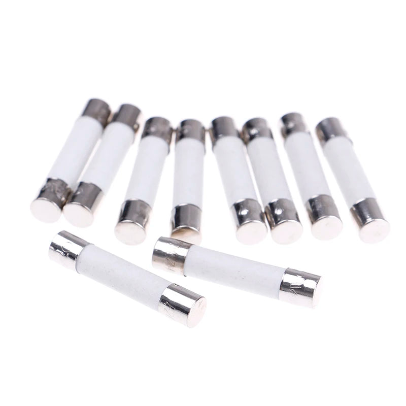 10Pcs Microwave Ceramic Fuse Electric 20A 250V Home Supplies DIY 6x30mm