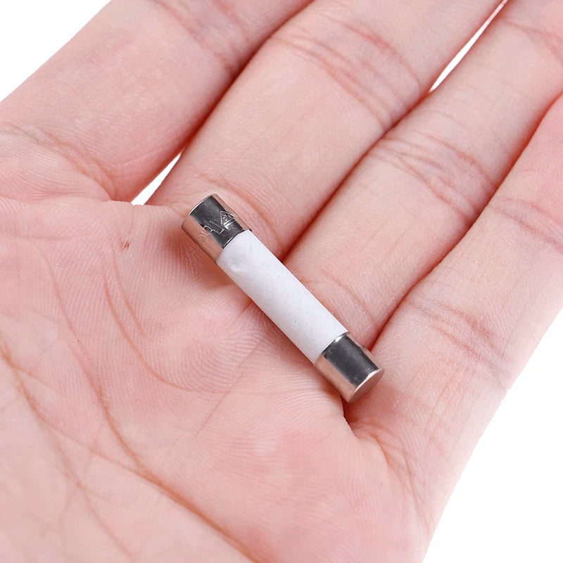 10Pcs Microwave Ceramic Fuse Electric 20A 250V Home Supplies DIY 6x30mm