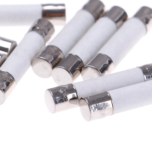 10Pcs Microwave Ceramic Fuse Electric 20A 250V Home Supplies DIY 6x30mm