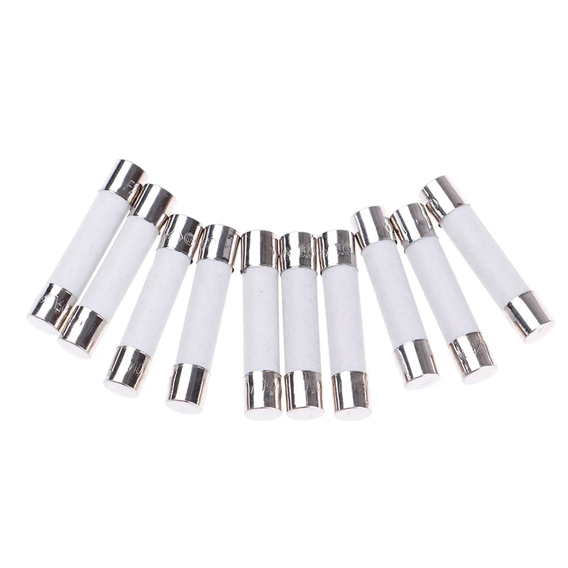 10Pcs Microwave Ceramic Fuse Electric 20A 250V Home Supplies DIY 6x30mm