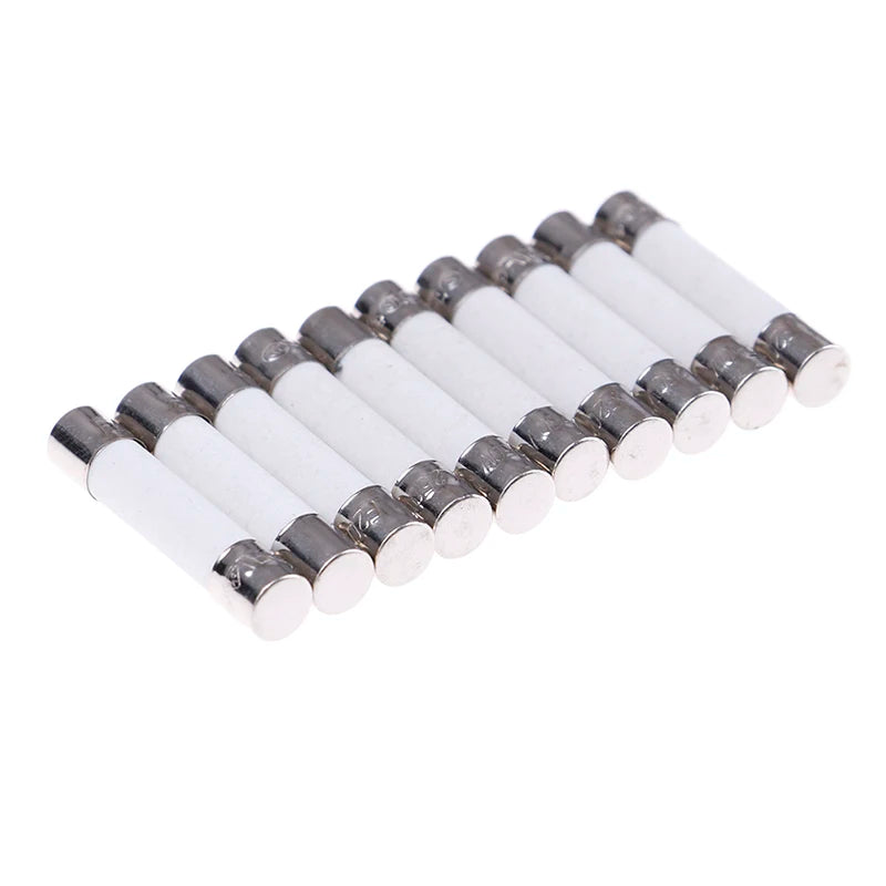10Pcs Microwave Ceramic Fuse Electric 20A 250V Home Supplies DIY 6x30mm